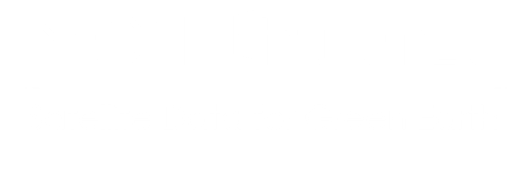 NEDO Challenge, Satellite Data for Green Earth