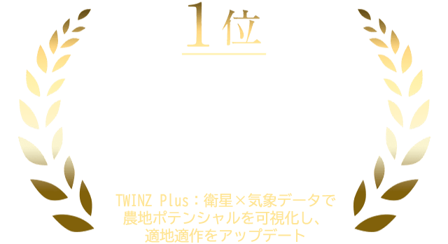 テーマ１　1位
