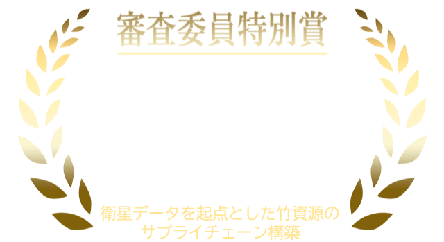 テーマ２　審査委員特別賞